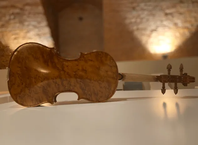fine italian instruments