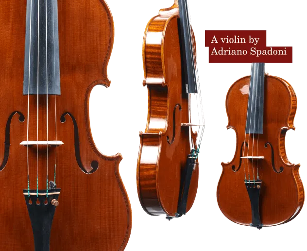 violin by Adriano Spadoni bright sound