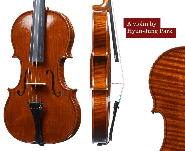 violin by Hyun Jung Park dark sound