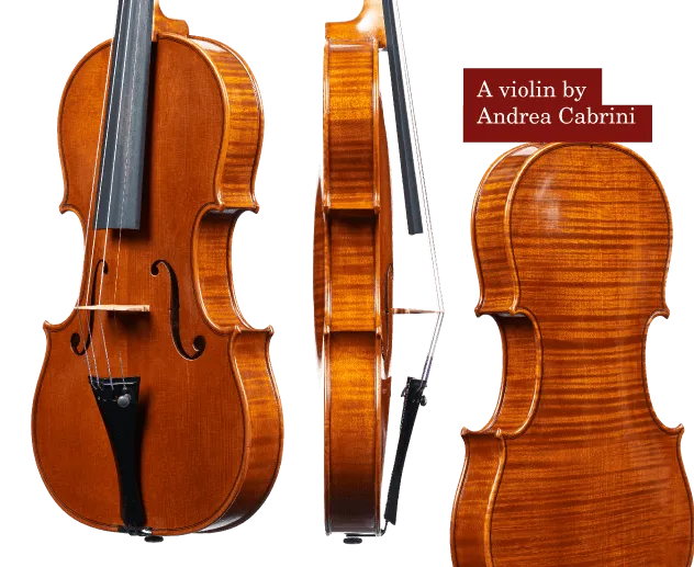 violin by andrea cabrini