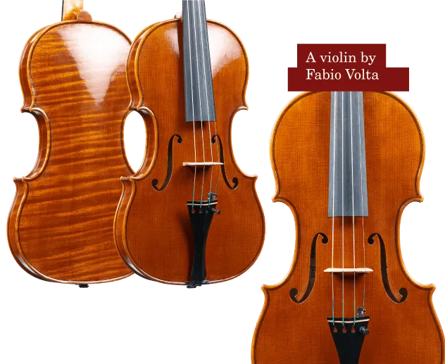 violin by fabio volta direct sound