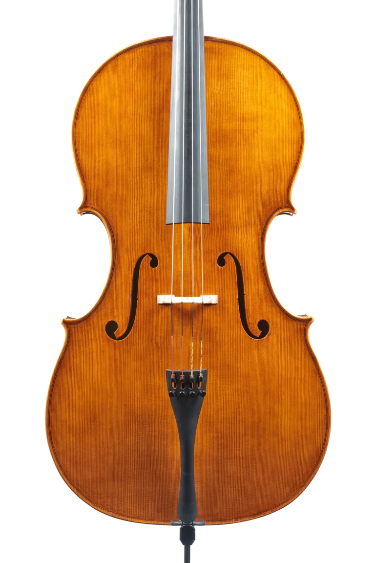Cello von Pio Montanari, Genua, 2023