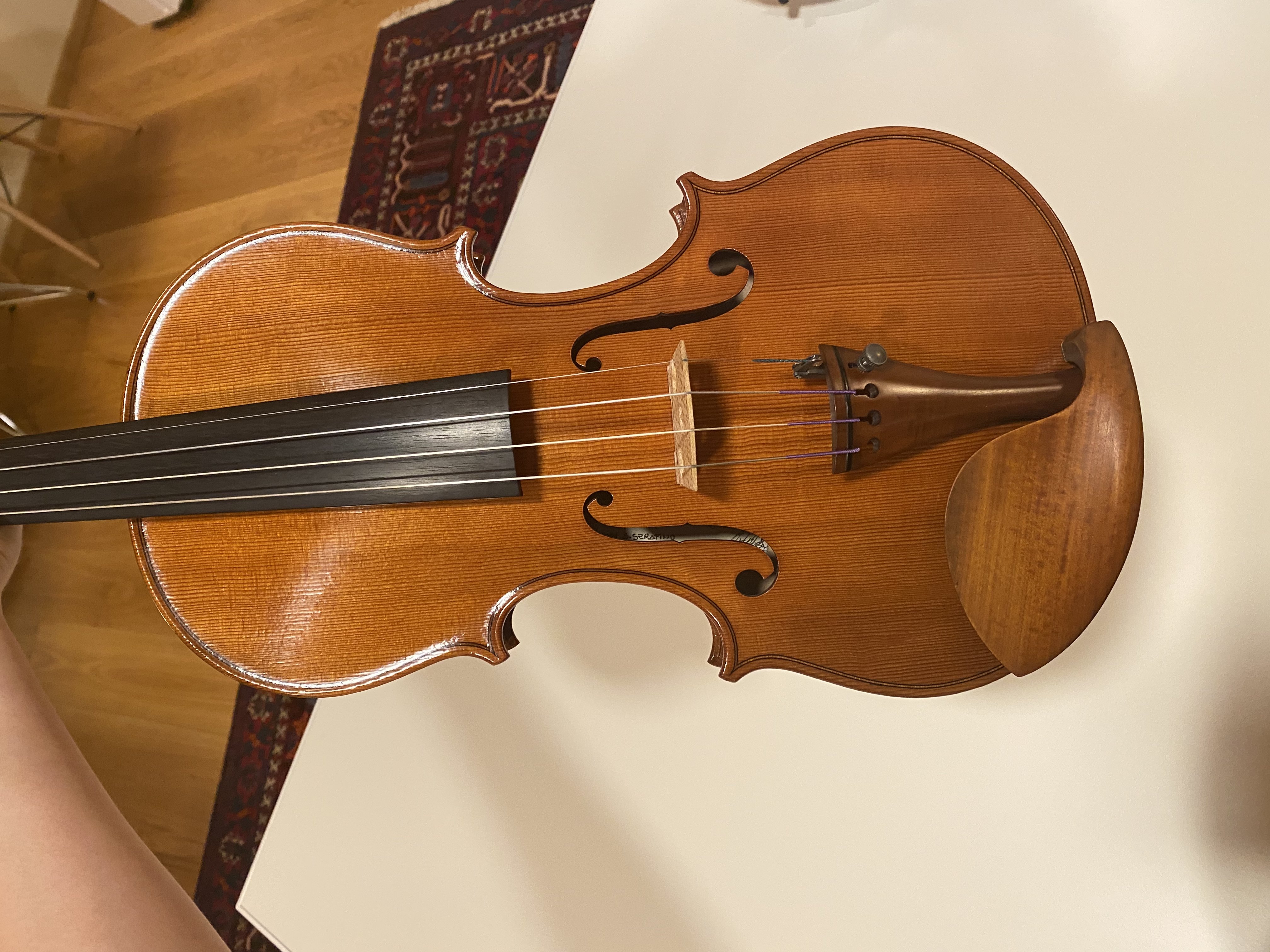 violin facts Handcrafted violin at Mio Cannone Violini