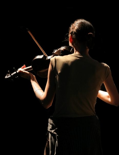 Top 5 Violinists: a musician playing at a stage