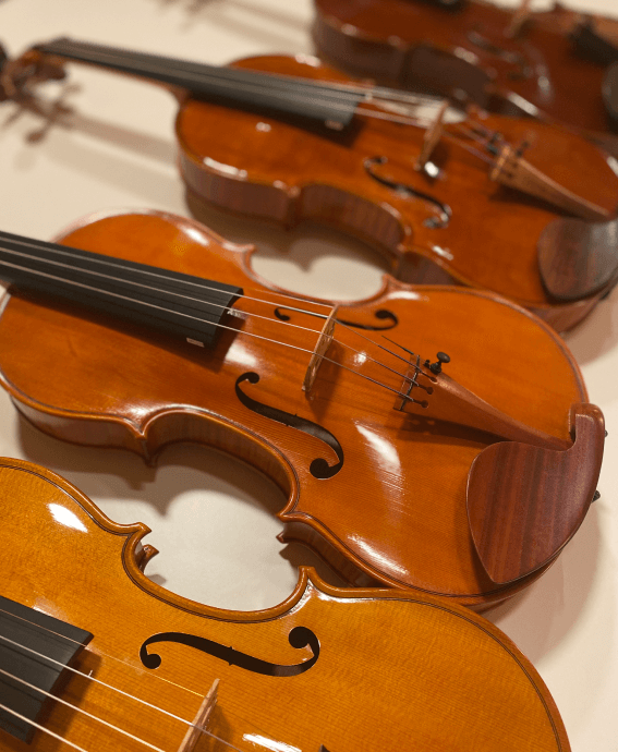 violin practice three handcrafted violins with different color of varnish