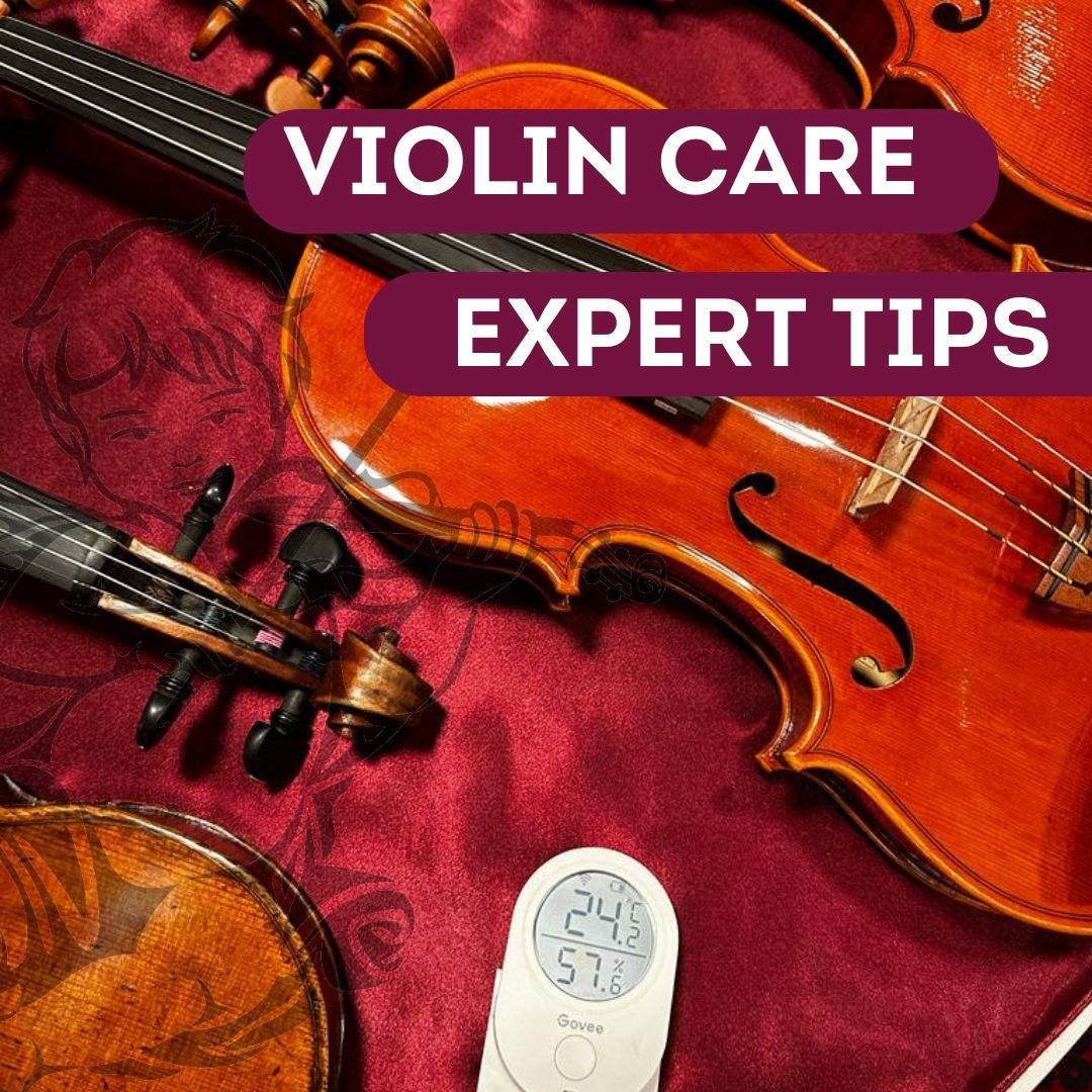 How Do You Take Care of a Violin? | Amorim Fine Violins