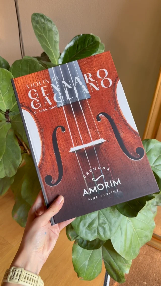 🔬 From Examination to Documentation: How We Build the Amorim Lab Dossier
Each fine instrument carries a story — and at Amorim Lab, our goal is to uncover it with clarity, precision, and scientific rigor.
The Amorim Lab Dossier is the result of a multi-step research process that combines traditional knowledge with cutting-edge analysis.
📄 The result is a comprehensive Dossier — a powerful tool for musicians, collectors, and institutions who seek certainty, understanding, and transparency!
.
.
.
.
.
.
.
#fineviolins #fineinstruments #violindocumentation #violinworkshop #violinexpert