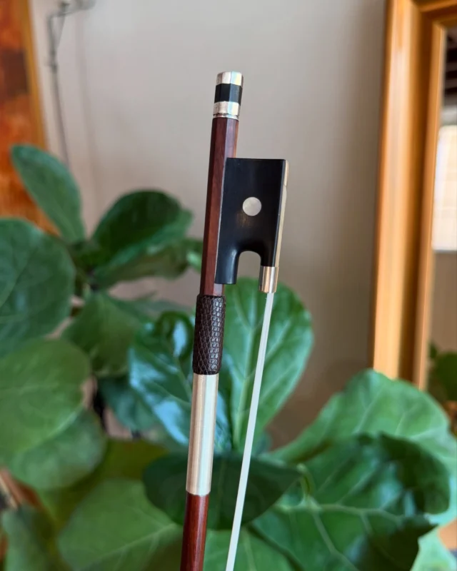 For musicians and collectors alike, today we want to talk about a french violin bow: made by Pierre Simon in Paris, 1855 c. “Ex-Lam”🎻
👨🏻‍🎨⁠ Pierre Simon began his career in Mirecourt, where he worked until 1838 before moving to Paris to join Dominique Peccatte’s workshop. Peccatte’s influence is evident in Simon’s bows, in 1840 he transitioned to Vuillaume Workshop remaining there until 1844 and producing numerous high-quality bows.
Around 1860, Simon’s bows began to show a more robust character, a trend that became more pronounced after 1870. Still, his craftsmanship remained consistently high throughout his career.
🎻 This specific bow features a round pernambuco stick in a rich reddish-brown hue, with silver wrapping and an ivory head plate. The ebony frog, which has mother of pearl eyes, is silver-mounted, as is the ebony button. This strong playing bow’s head and frog design reveals Dominique Peccatte’s influence on Simon. In excellent condition and entirely original, the bow was once part of Sau-Wing Lam’s collection.
Interested in knowing more about it? 👇
Send us a DM! We will be happy to give you all the information you need 🧡
.
.
.
.
.
.
.
.
#bow #frenchbow #violinbow #violinist #violinplayer #violinshop #fineinstruments